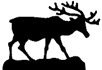 Giant 57" x 41" Deer Plan